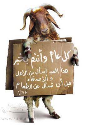 3id saied